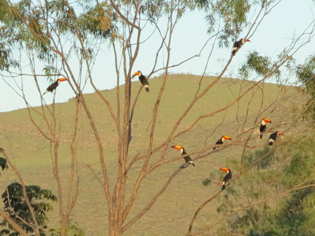 Pousada Recanto Da Grande Paz Alto Paraíso de Goiás Exterior foto